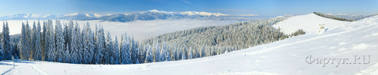 Скинали — Зимний горный пейзаж с елями
