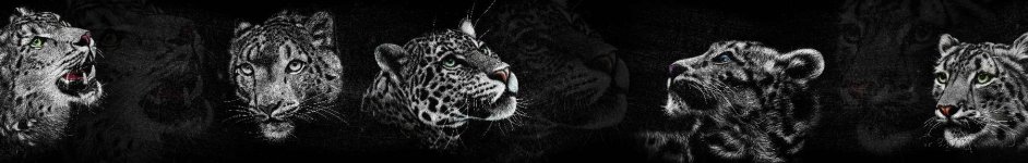 Скинали — Леопард
