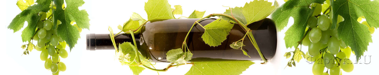 Скинали — Бутылка вина в виноградной лозе.