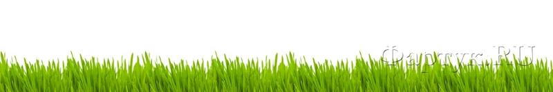 Скинали — Зеленая трава на белом