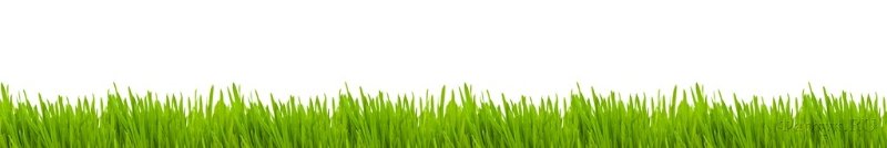 Скинали — Зеленая трава на белом