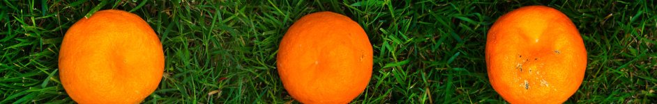 Скинали — Сочный мандарин на зеленой траве 