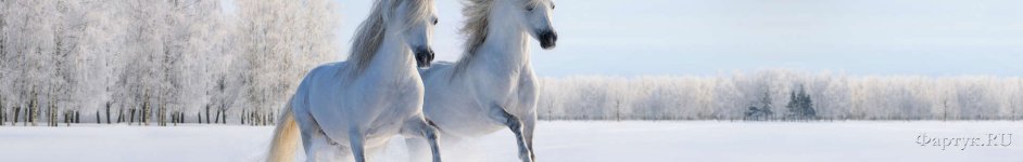 Скинали — Скачущие кони по зимнему полю