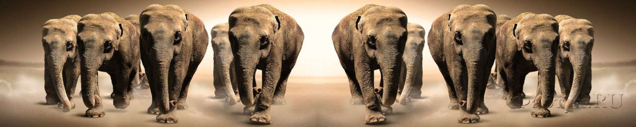 Скинали — Коричневые слоны 