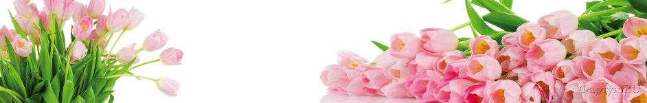 Скинали — Букеты розовых тюльпанов
